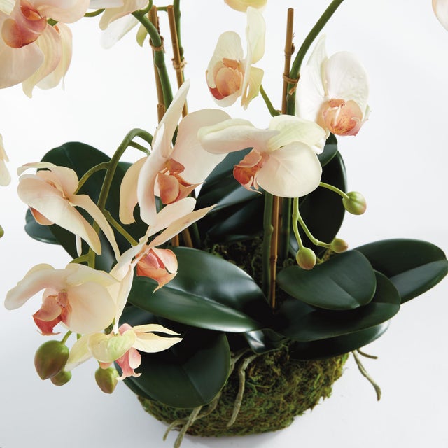 Contemporary Phalaenopsis Orchid Bowl Drop-In 18.5" For Sale - Image 3 of 8