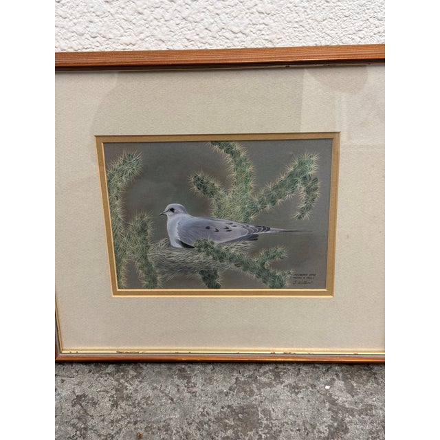 Illustration Signed S. Wicklund “Mourning Dove Nesting in Cholla” Framed Original Bird Illustration For Sale - Image 3 of 12