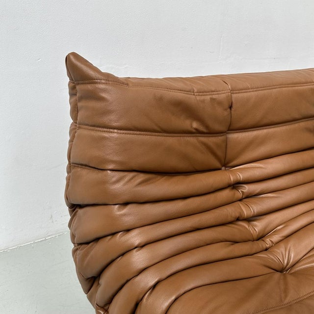 French Togo 2-Seater Sofa in Cognac Leather attributed to Michel Ducaroy for Ligne Roset, 1970s For Sale - Image 6 of 11