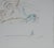 Salvador dali (1904-1989) paradise lost: the tree of knowledge original engraving (rigal workshop) signed in pencil...
