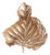 Colocasia Wall Art Small For Sale