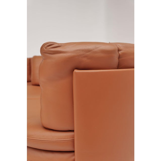 1980s Vintage DS 800 Modular Sofa from de Sede, 1980s, Set of 3 For Sale - Image 5 of 10