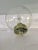 Hand Blown Globe Ceiling Lamp / Wall Light from Raak, 1960s For Sale - Image 6 of 7