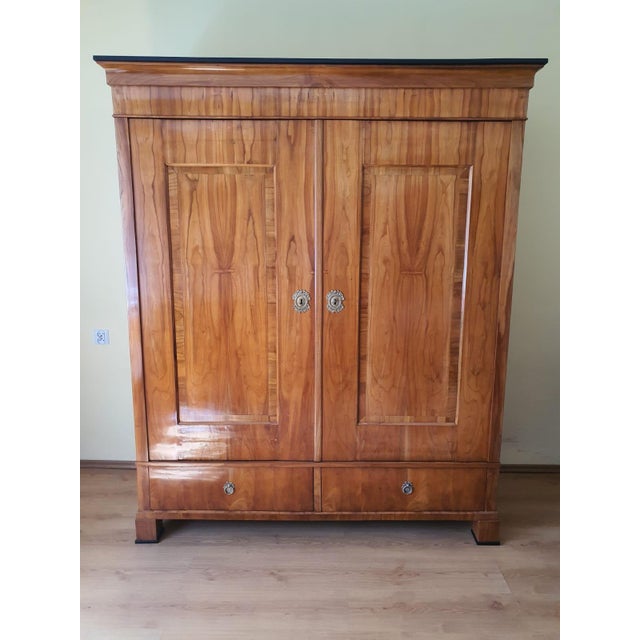 Wood Biedermeier Hallway Cabinet in Cherrywood, 1820s For Sale - Image 7 of 7