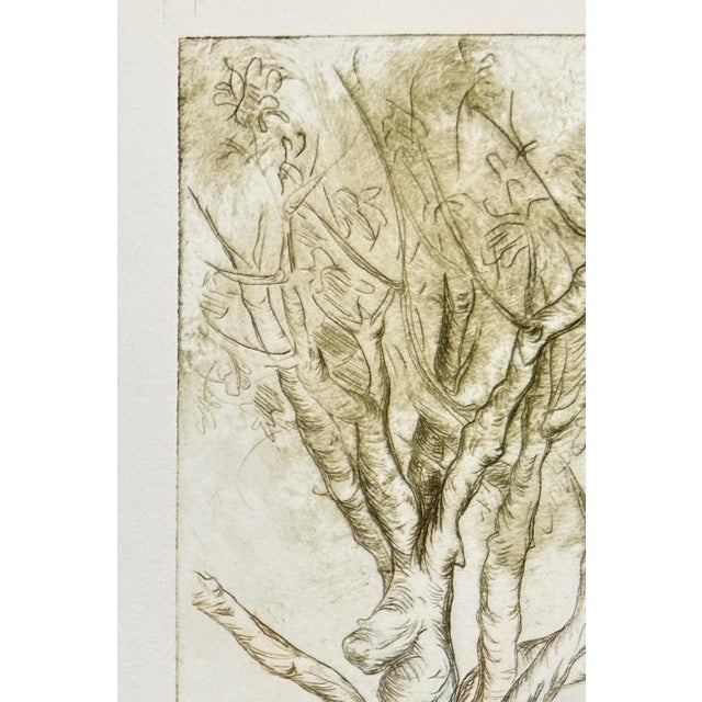 1982 Hand Printed Etching “Sketch of a Tree” For Sale - Image 4 of 5