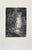 Sous Bois is a black and white etching realized by Xavier Dananche (1828-1894) in 1870s. Titled in the lower. Image size:...