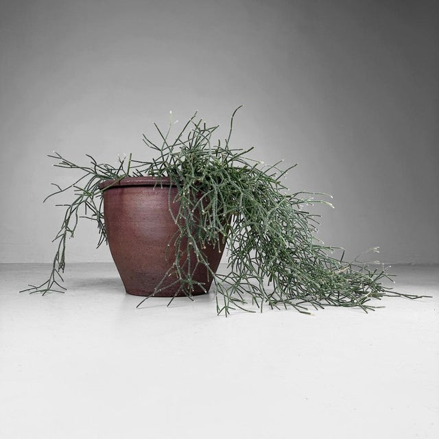Japanese Earthenware Planter, 1960s For Sale - Image 6 of 8