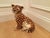 Rare Vintage Italian Ceramic Cheetah Family – Complete Set of Three – Mid-Century Modern / Hollywood Regency – Made in Italy For Sale - Image 10 of 10
