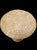 Vintage Maitland Smith Tesselated Tile Encrusted Round Side Occasional Table For Sale - Image 12 of 12