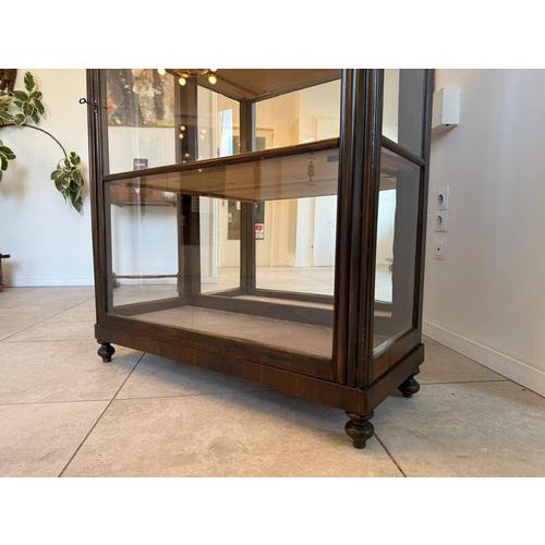 Antique Biedermeier Display Cabinet, 1865 For Sale - Image 12 of 18