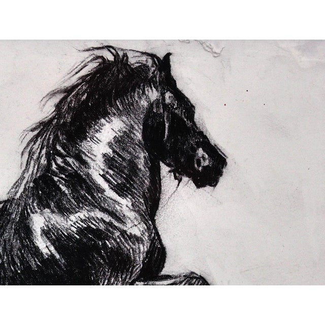 Black Elin Sian Blake, Black Welsh Cob, Charcoal on Paper For Sale - Image 8 of 18