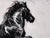 Black Elin Sian Blake, Black Welsh Cob, Charcoal on Paper For Sale - Image 8 of 18