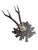 Cabin Roe Deer Trophy 229 Black Forest Antlers For Sale - Image 3 of 5