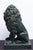 19th Century Large Italian Grand Tour Granite "Medici" Lion 19th Century For Sale - Image 5 of 5