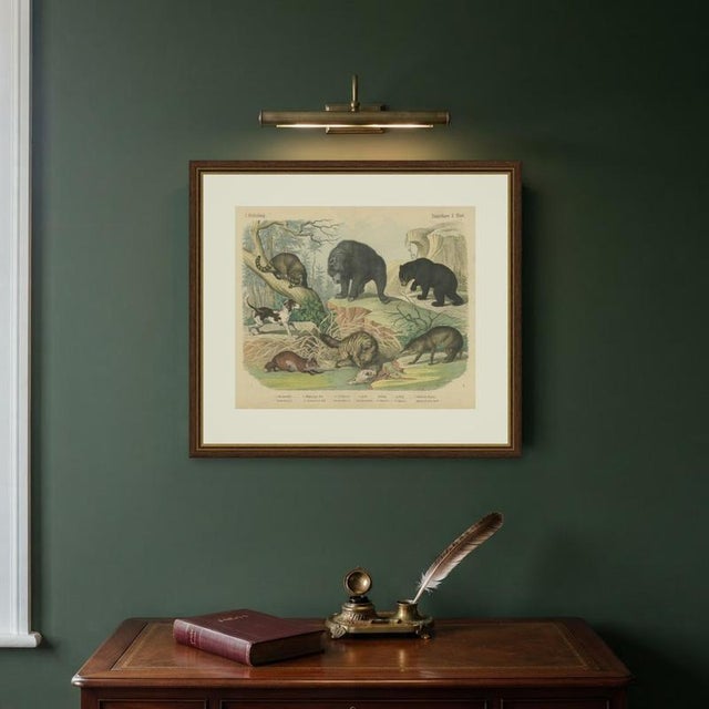 Antique Grizzly and Black Bear Print with Wolf and Fox and Raccoon, 1890 For Sale - Image 10 of 12