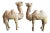 Large Tang-Style Chinese Carved Bactrian Camels - A Pair For Sale