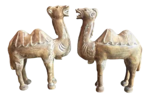 Large Tang-Style Chinese Carved Bactrian Camels - A Pair