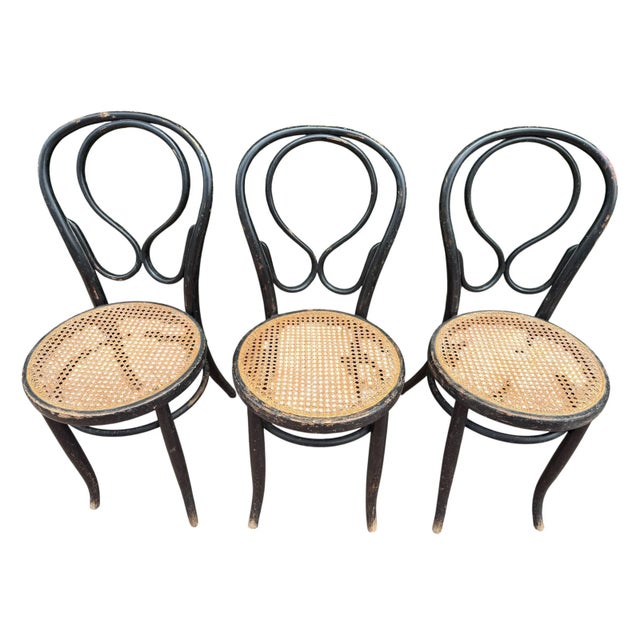 N14 Fischel 19s Thonet Style Bistro Chairs, 1860, Set of 3 For Sale - Image 3 of 14