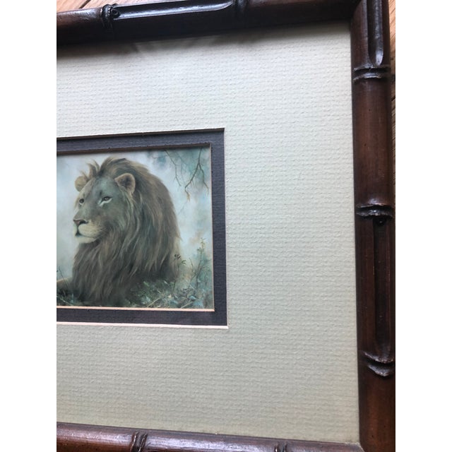 1970s Vintage Framed Lion Safari Print For Sale - Image 6 of 8