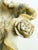 Stone Vintage Hand Carved Soapstone Lotus Leaf Bowl With Floral Motifs For Sale - Image 7 of 12