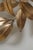1970s Large Golden Bell Flower Pioggia Doro Wall Lamp attributed to Hans Kögl, 1970s For Sale - Image 5 of 13