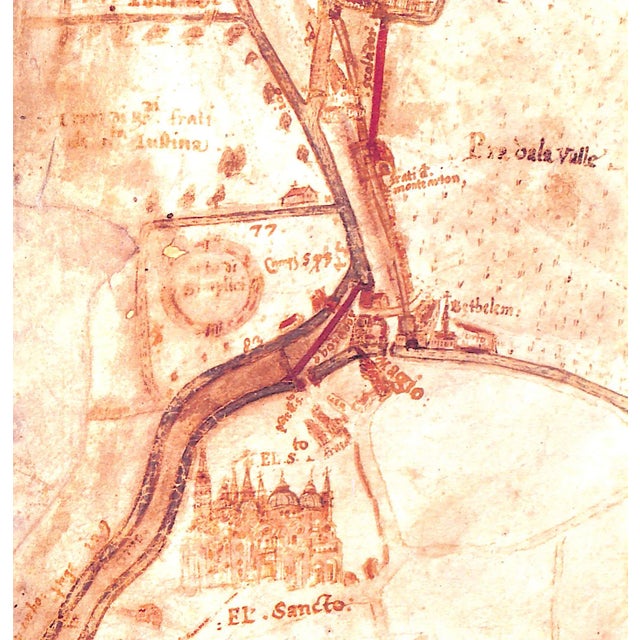 Traditional "The Botanical Garden of Padua, 1545-1995" 1995 Minelli, Alessandro [Edited By] For Sale - Image 3 of 11
