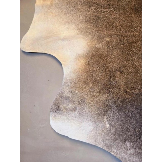 Large Beige and Brown Cowhide Rug For Sale - Image 17 of 18