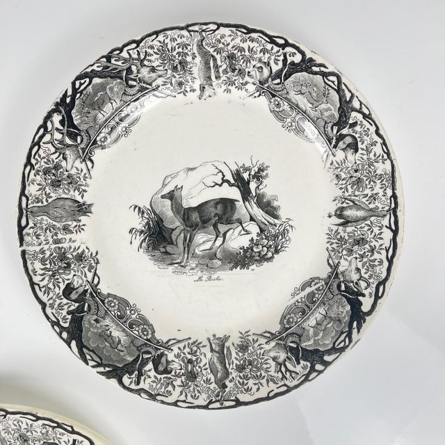 Antique U&C Plates from Sarreguemines, 1850, Set of 3 For Sale - Image 6 of 15
