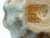 Beige Tall Art Glass Vase With Melon Ribbing, Gilt and Enamel Opal Glass Attributed to Harrach, 1880s-1920's. For Sale - Image 8 of 15
