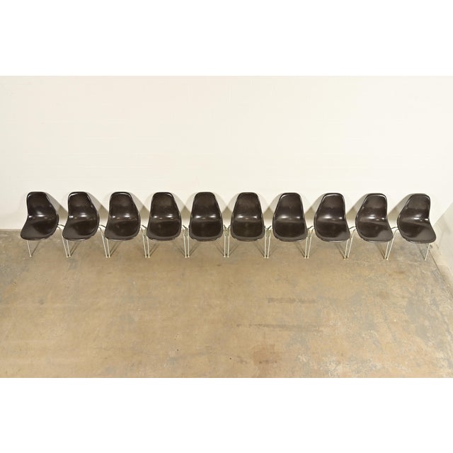 Charles & Ray Eames for Herman Miller DSS Seal Brown Stacking Shell Chairs | Set of Ten For Sale In South Bend - Image 6 of 16
