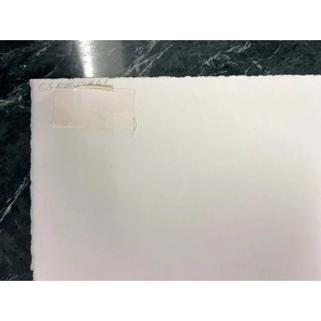 Ann Taylor Warp Speed Hand Signed Fine Art Pastel Mountain Lithograph For Sale - Image 4 of 6