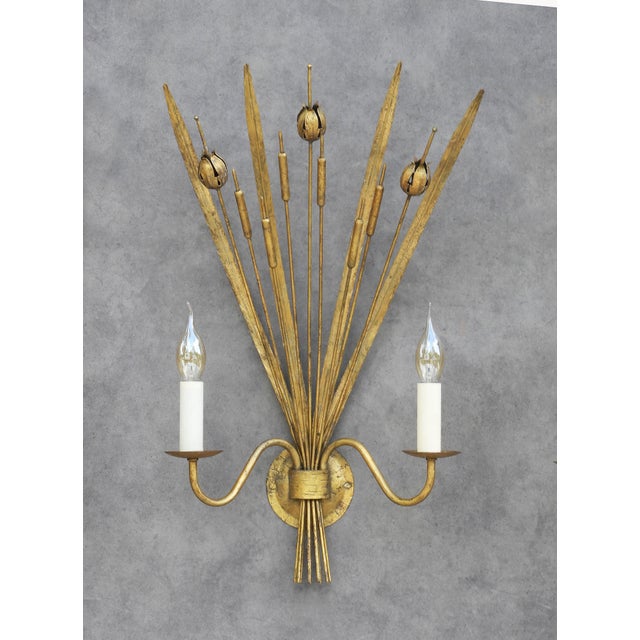 Gold Spanish Gilt Tole Reed and Seed Head Wall Sconce, 1960 For Sale - Image 8 of 10
