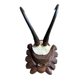 Chamois Trophy 223 Black Forest Horns Mount For Sale