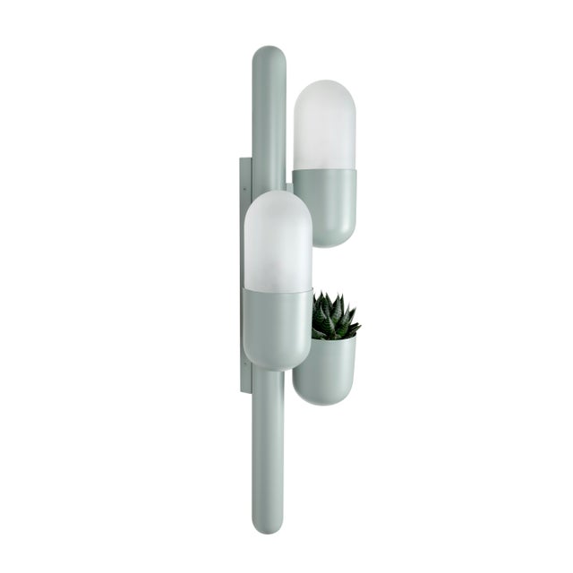 Cactus Wall Lamps by Creativemary, Set of 2 For Sale - Image 9 of 10