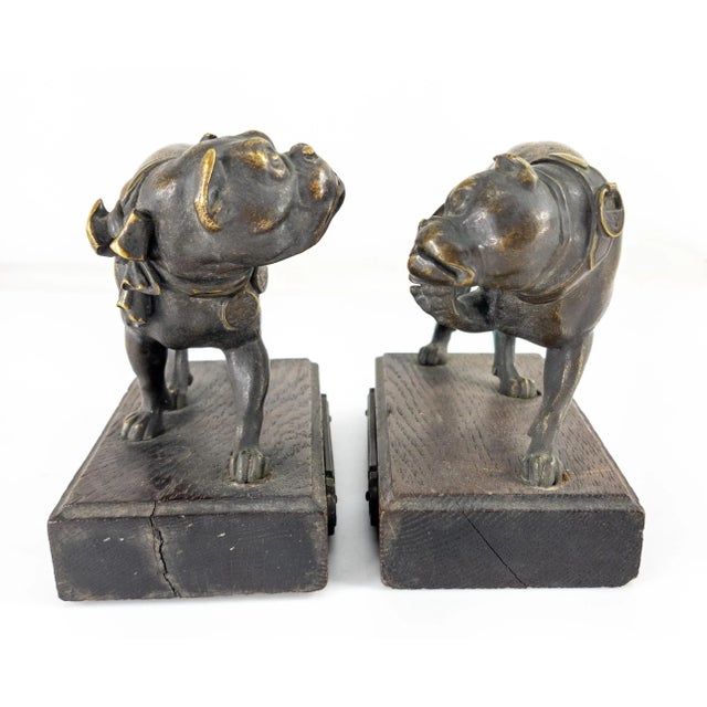 Wood 19th Century Pair of French Bronze Figures of Pit Bull Dogs For Sale - Image 7 of 13