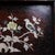 Late 20th Century Dark Wood Tea Tray With Mother-of-Pearl Bird and Floral Inlay For Sale - Image 9 of 10