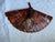 Shell Vintage Petite Tortoise Shell Fan For Sale - Image 7 of 11
