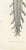 Gold Hirschfeld and Leveille, Spinal Nerve Roots Along the Whole Cord, Hirschfeld Double Folding Plate, 1866, Paper For Sale - Image 8 of 12