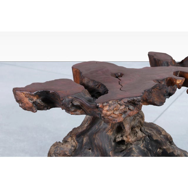 Mid-Century Modern Sculptural Free Form Redwood Burl Side Tables, 1960s For Sale - Image 9 of 12
