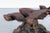 Mid-Century Modern Sculptural Free Form Redwood Burl Side Tables, 1960s For Sale - Image 9 of 12