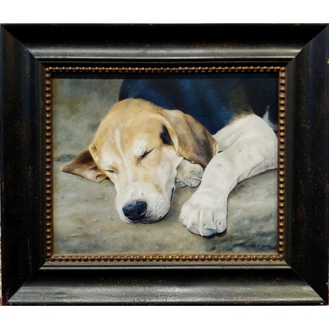 Anita Baarns - Cute Fox Hound Puppy Dog sleeping -Oil Painting Oil painting on canvas -Signed and dated 2005 Canvas size...