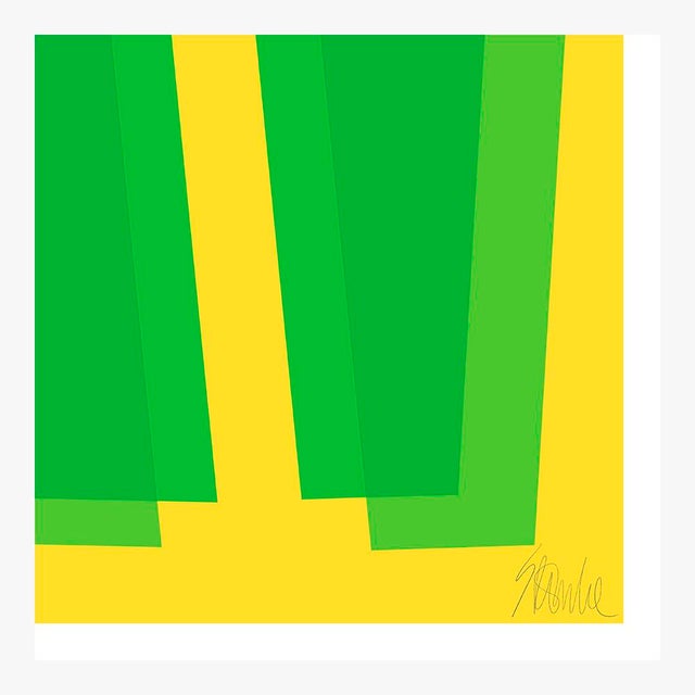 Not Yet Made - Made To Order Green and Yellow Transparencies Fine Art Print 14" X 20" by Liz Roache For Sale - Image 5 of 6