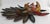 Mid 20th Century Vintage Ixcateopan Cuauhtemoc Folk Art Dance Mask, Hand Carved Mexican, 24x24" For Sale - Image 5 of 11