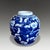 Antique 19th Century Chinese Kangxi Revival Blue and White Porcelain Ginger Jar For Sale - Image 4 of 8