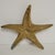 Mid 20th Century Large Mid-Century Brass Starfish Wall or Tabletop Accent For Sale - Image 5 of 5