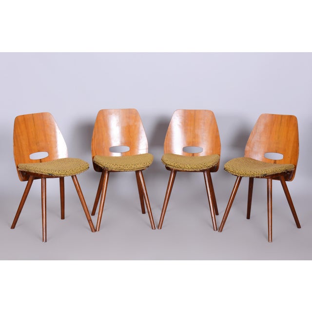 Mid-Century Modern Mid-Century Chairs in Walnut attributed to Frantisek Jirak for Tatra Nabytok, Czech, 1950s, Set of 4 For Sale - Image 3 of 7