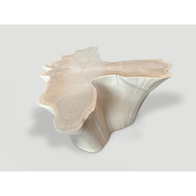Andrianna Shamaris Amorphous Bleached Teak Wood Coffee Table For Sale - Image 17 of 18