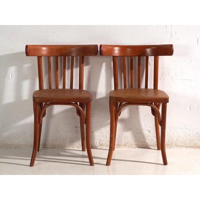 Early 20th Century Bentwood Chairs in the style of Thonet, Central Europe, 1930, Set of 4 For Sale - Image 5 of 15