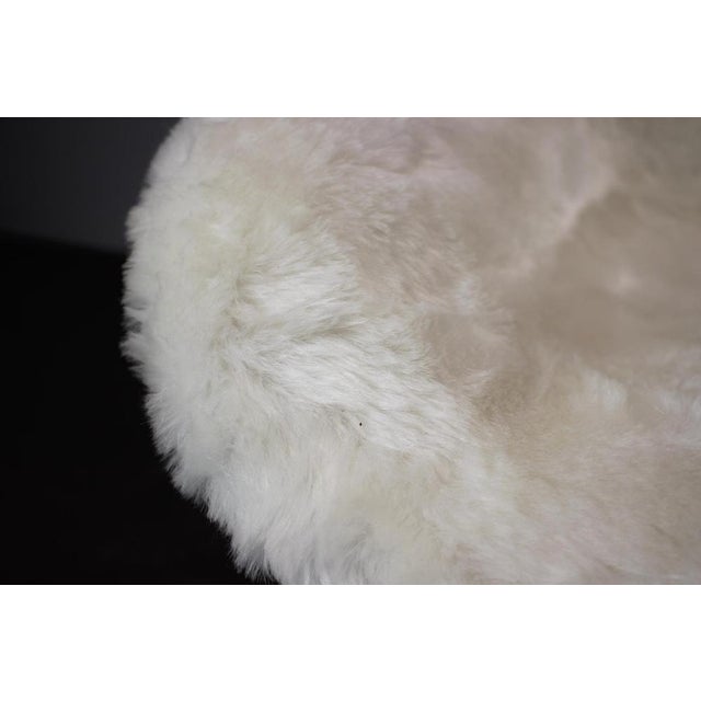 Brown Lounge Chairs from Miroslav Navratil, 1960s, Set of 2 For Sale - Image 8 of 9