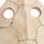 Display this nature inspired accent in your home. Sulcata turtle features an aged whitewashed composite supported by a...
